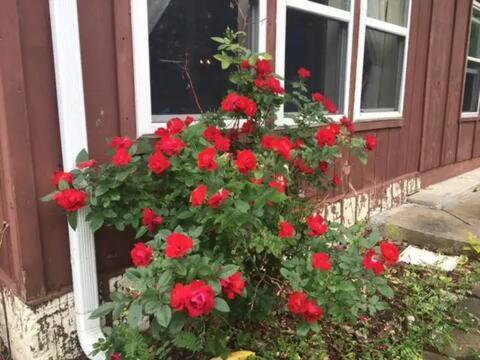 Keuka Lake Views And Hiking 해먼즈포트 외부 사진